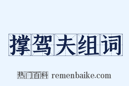 撑驾夫组词是什么意思的图片